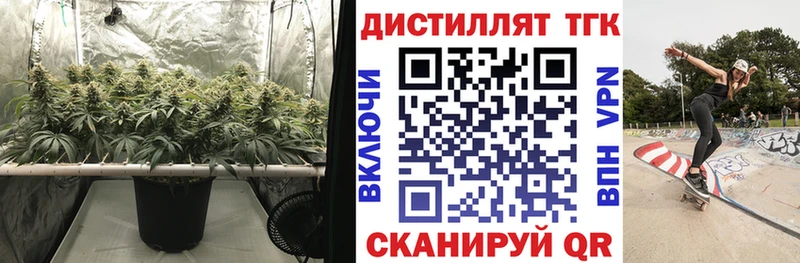 ТГК вейп  где купить   Щёлково 