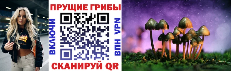 Галлюциногенные грибы мухоморы  omg как зайти  Щёлково  цена наркотик 